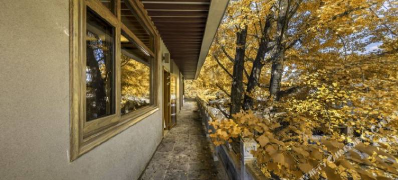 腾冲一画·精品民宿图片