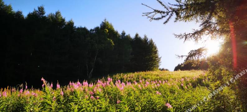 多乐美地滑雪场多乐美苑假日酒店图片
