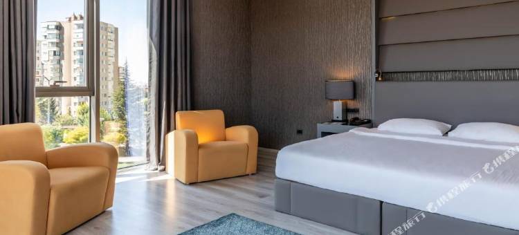 德德曼埃斯基谢希尔公园酒店(Park Dedeman Eskişehir)图片