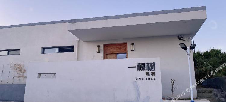 一棵树民宿图片
