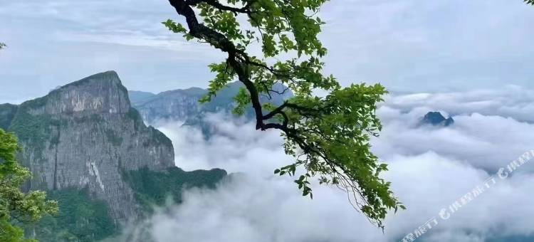 山海童话客栈(国家森林公园标志门店)图片