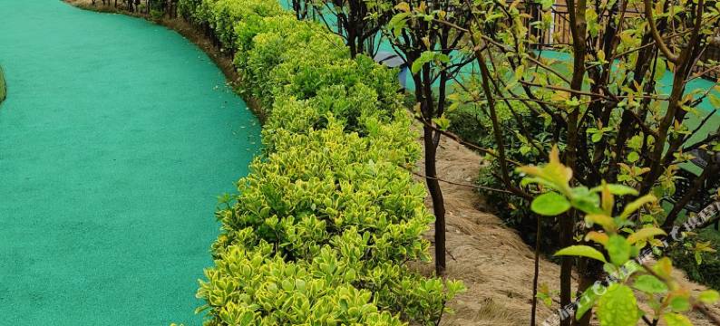 武穴彭河人家民宿图片