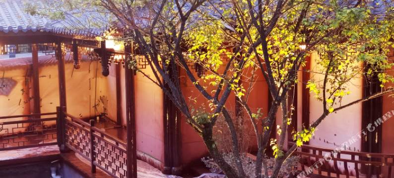 心甘琴院民宿图片