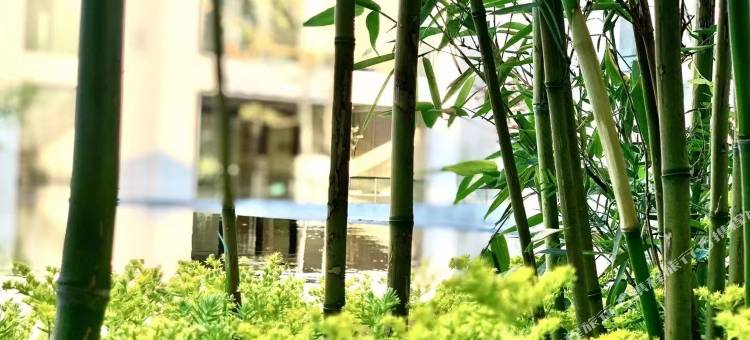 南京卓悦温泉康养民宿图片