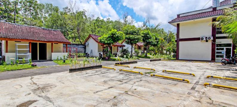 SPOT ON 92257 兰花宾馆(Spot on 92257 Orchid Guest House)图片