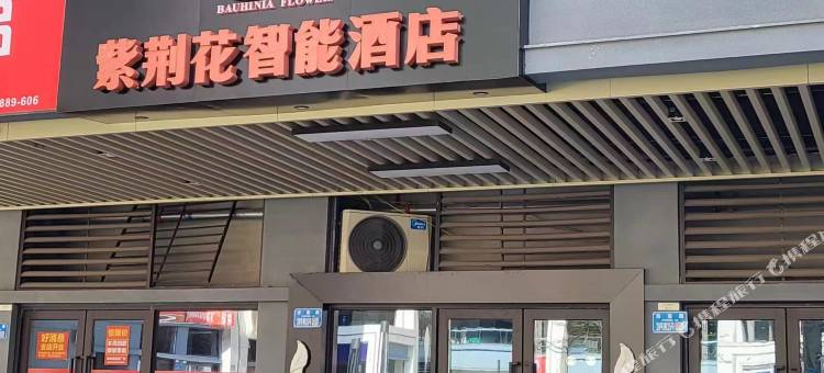 紫荆花智能酒店(微电园融创文旅城店)图片