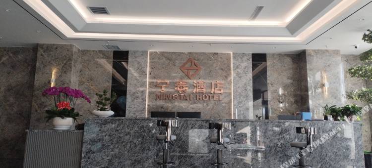 宁泰酒店(棋盘井政府店)图片