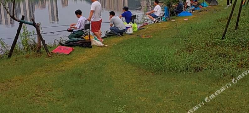 淳安佳人酒店图片