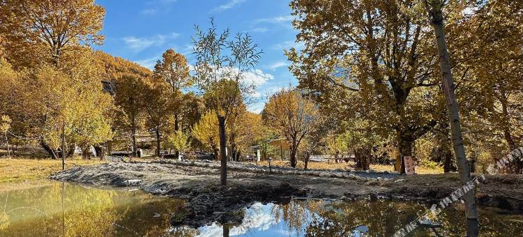 森屿·宿木屋民宿图片