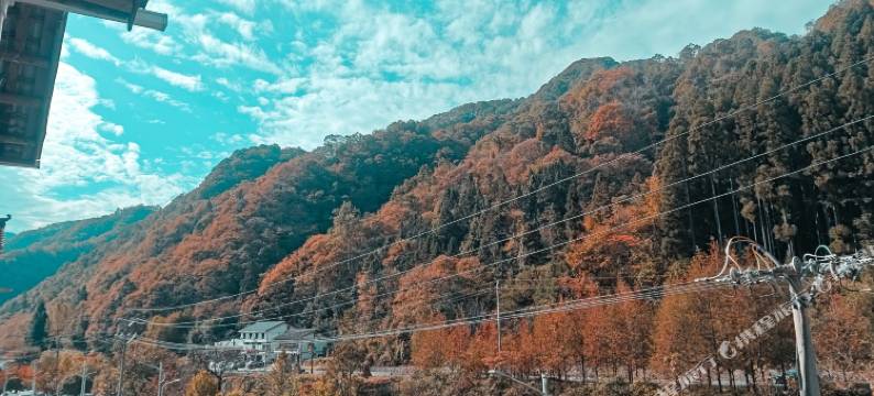 光雾山荣欣居农家乐图片