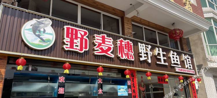 千岛湖野麦穗民宿图片