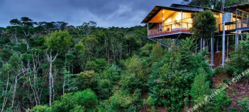 欧雷伊里雨林度假村(O'Reilly's Rainforest Retreat)图片