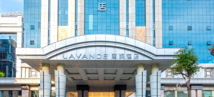 麗枫酒店(东莞沙田中心店)图片