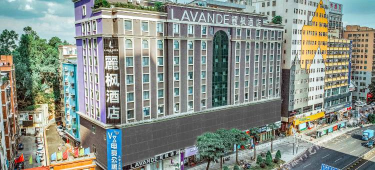 麗枫酒店(深圳北站龙华壹城中心店)图片