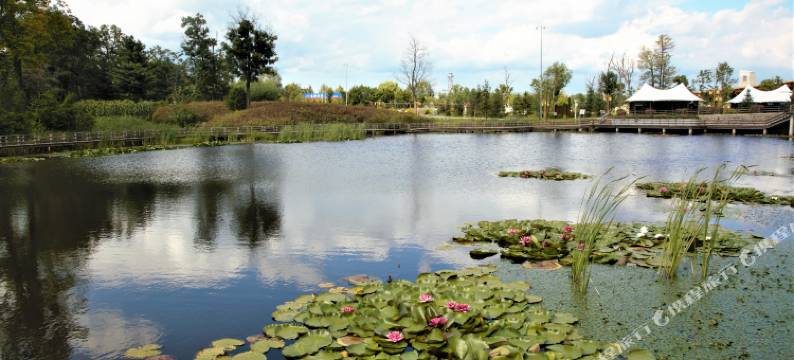 长白山森林拾光房车度假民宿图片