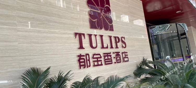 房县郁金香酒店图片