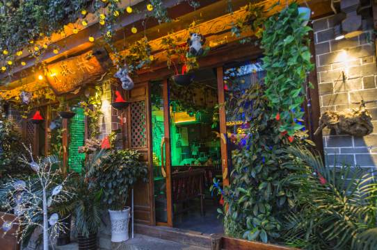 大理森林酒吧客栈(古城红龙井店)