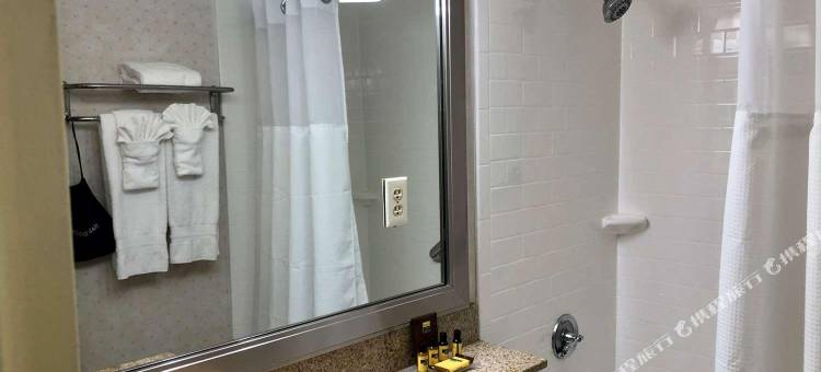 格鲁维诺机场贝斯特韦斯特优质酒店(Best Western Plus Grosvenor Airport Hotel)图片