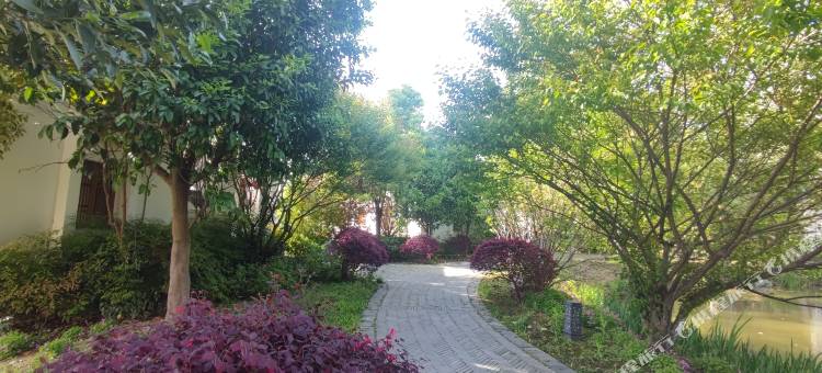 孝感金卉庄园渔家小院别墅图片