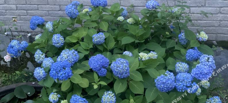 宣城听三田舍民宿图片