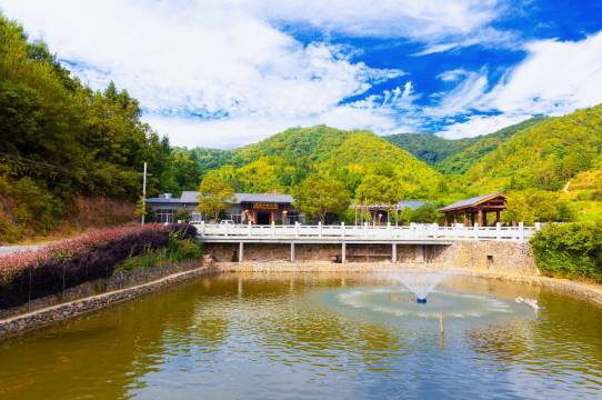 三百山源头山水民宿
