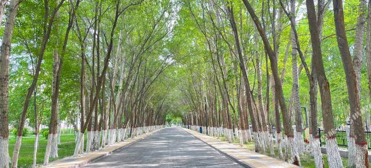 吉木乃宾馆图片