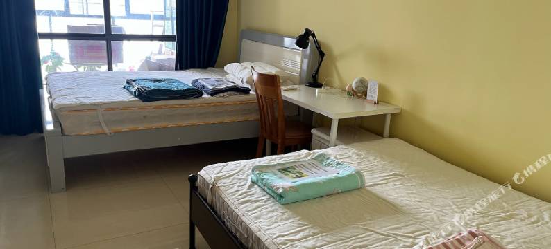 深圳核儿猫舍民宿图片