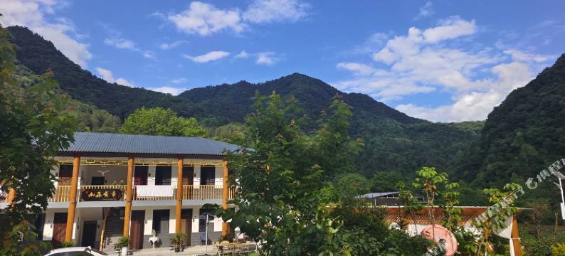 黄柏塬山森有幸民宿图片