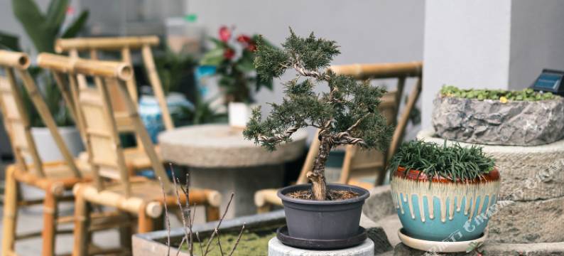 南浔半仙·Staycation 闲时赏花·旅行度假小院(南浔古镇店)图片