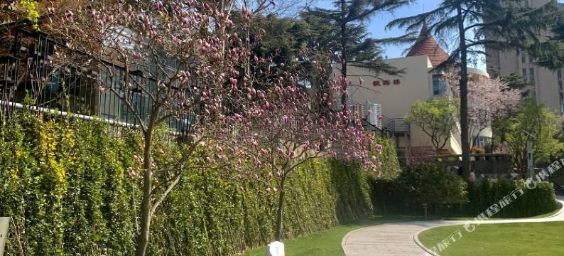 青岛花园大酒店(五四广场小麦岛公园店)图片