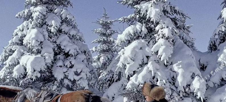 亚布力滑雪场月华民宿图片