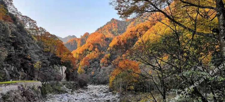 光雾山茂华楼宾馆图片