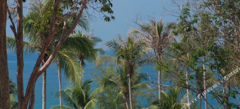 阿金塔度假村(Ajinta Resort)图片