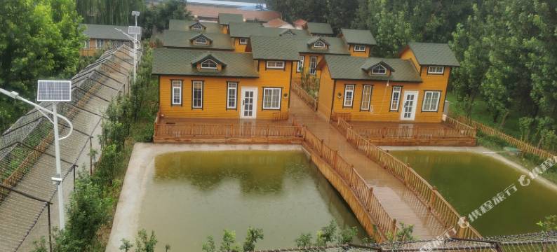 廊坊御树酒店图片