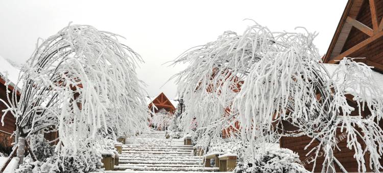 西岭雪山斯堪的纳度假酒店图片