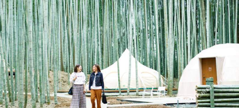 竹林动物园露营酒店(THE BAMBOO FOREST)图片