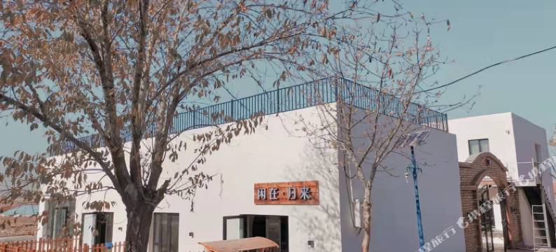 闲在归来民宿图片