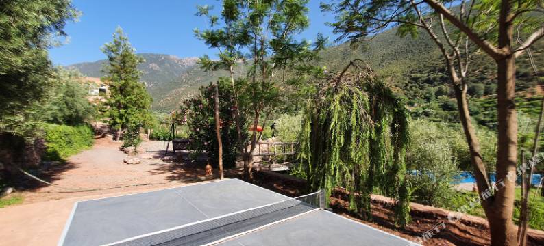 非洲古堡摩洛哥传统庭院住宅(Kasbah Africa)图片