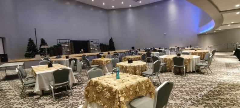 普罗克斯东方阿尔拜酒店(Proxy by The Oriental Albay)图片