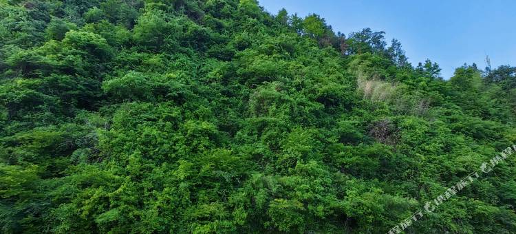 黄山良舍·云溪美宿图片