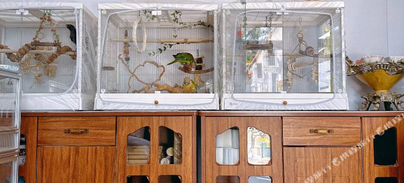 北京四九城(大兴国际机场店)图片