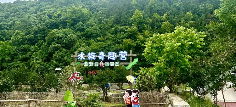黄山祁门绎山居精品民宿图片
