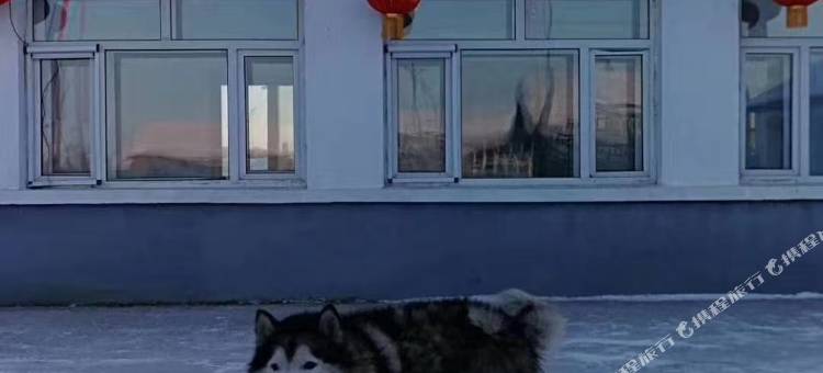 喜洋洋客栈图片