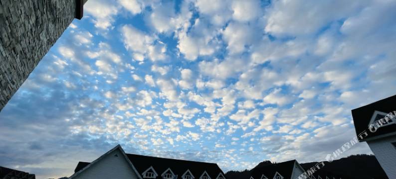 北苑山庄(喀纳斯景区贾登峪国家森林公园店)图片