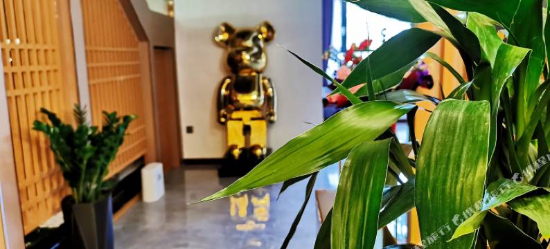 阆中金阆假日酒店(状元坊店)图片