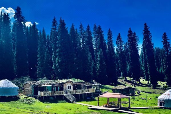 琼库什台无忧之家预订价格,联系电话位置地址【携程酒店】