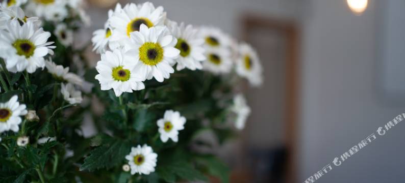 山林悦民宿(南京银杏湖店)图片