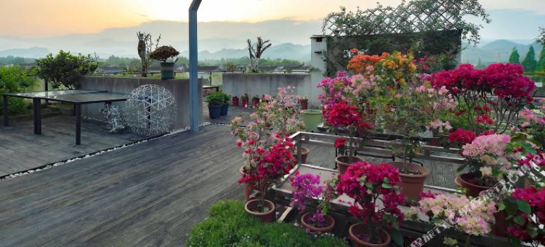 艺家康养酒店图片