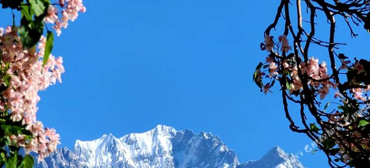 荒度余生AR-Xnn有风·光影美学丨° 既山野度假雪景酒店图片