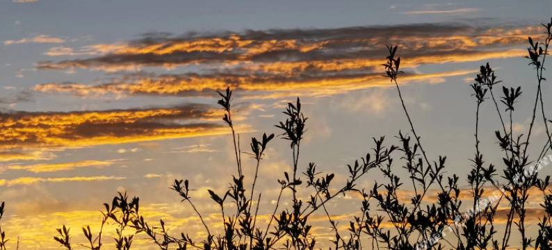 若尔盖黄河第一湾大酒店图片